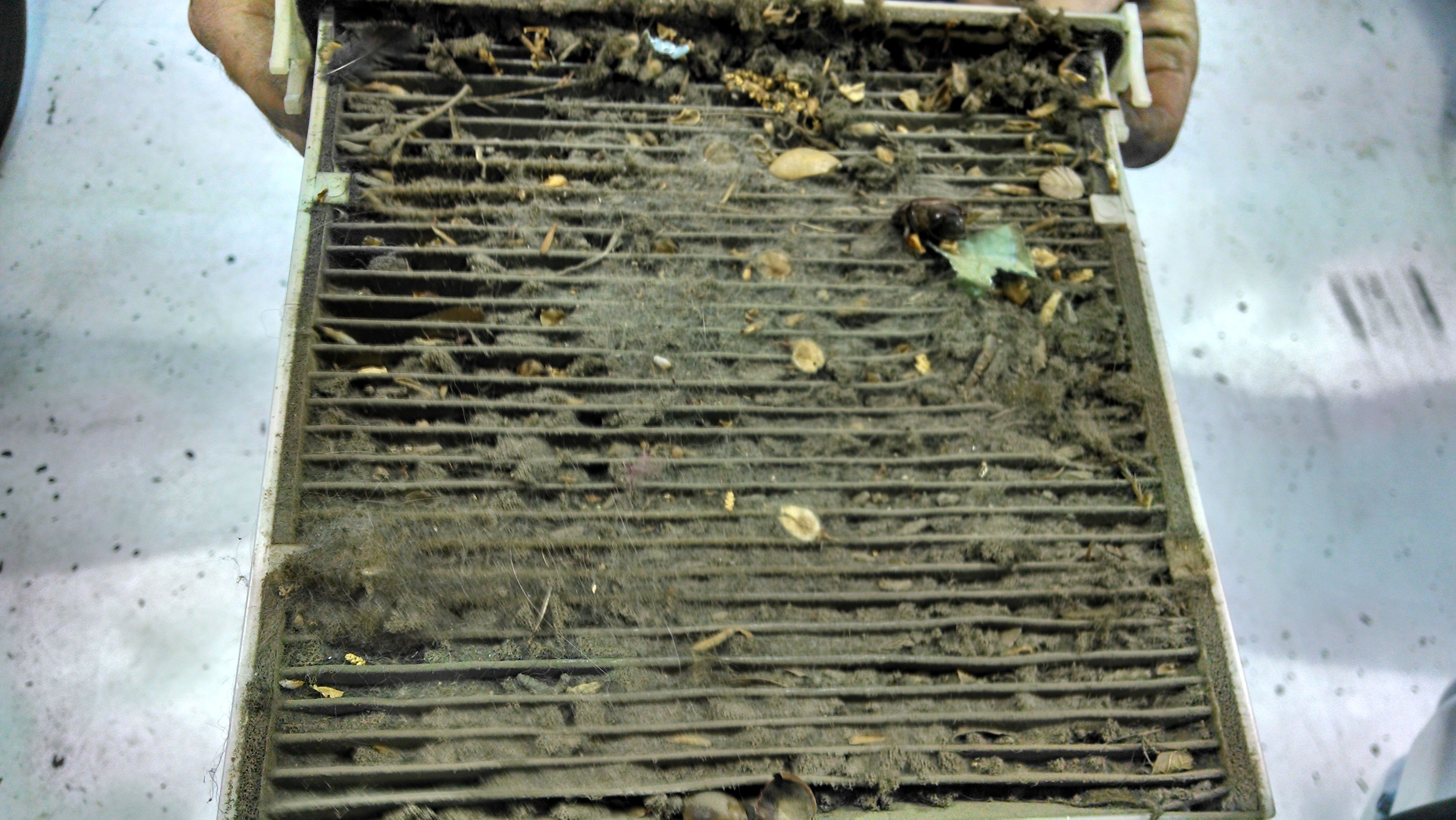 Dirty Cabin Air Filter